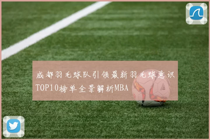 成都羽毛球队引领最新羽毛球意识TOP10榜单全景解析MBA