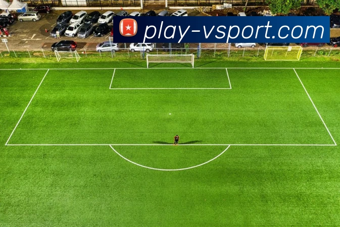 v站体育平台生态图