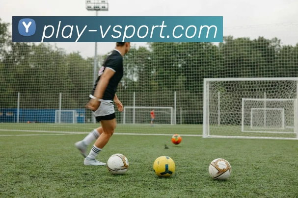 v站体育平台生态图